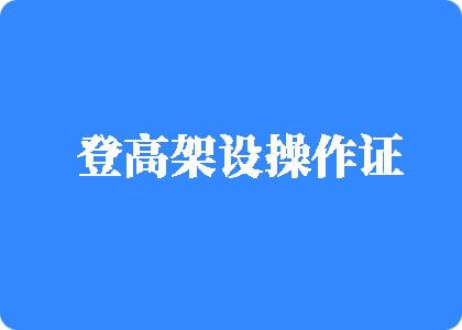 肏逼视频78登高架设操作证